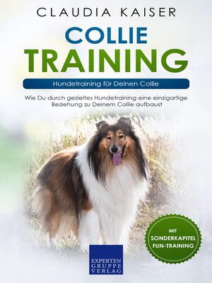 cover image of Collie Training – Hundetraining für Deinen Collie